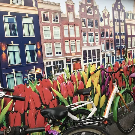 Amsterdam 4 Holiday Guestrooms-3